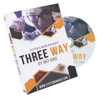 Three Way by Wei Ding & system 6 - DVD