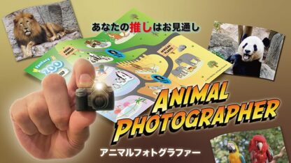 Animal photographer - Image 4