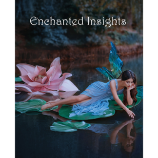 ENCHANTED INSIGHTS RED (Spanish Instruction) by Magic Entertainment Solutions - Trick